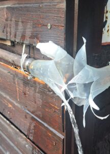 stranger things anus